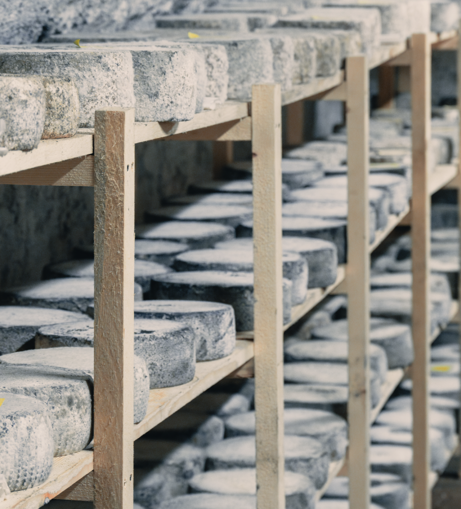 Alla scoperta delle cantine di stagionatura